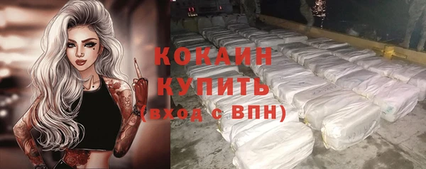 спайс Арсеньев