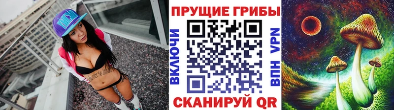 Псилоцибиновые грибы Psilocybine cubensis  omg сайт  Сельцо 